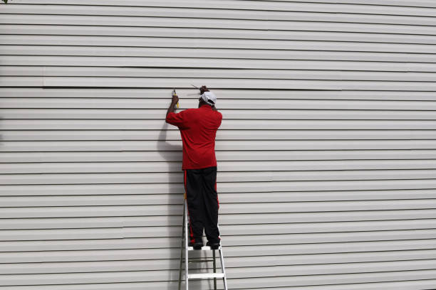 Best Aluminum Siding Installation  in Catawissa, PA